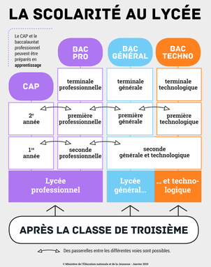 schema-passerelles-au-lyc-e-14708.png